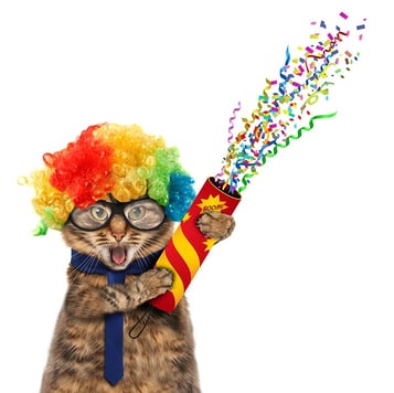 Cat-celebrating-with-confetti