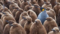Standing Out in a Competitive Market: The Builder's Brand Guide