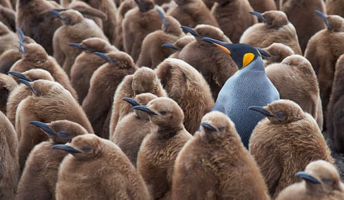 Standing Out in a Competitive Market: The Builder's Brand Guide