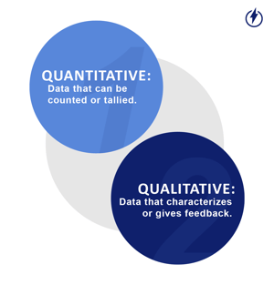 qualitative vs quantitative